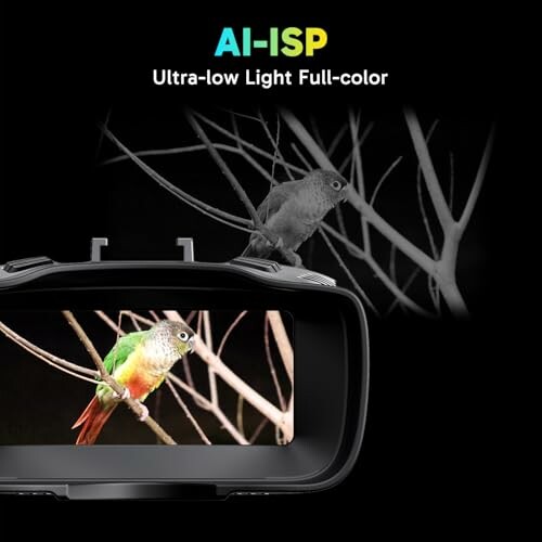 Colorful bird shown in low-light camera technology comparison.