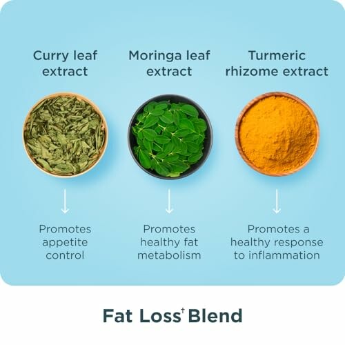 Three bowls containing curry leaf extract, moringa leaf extract, and turmeric rhizome extract, labeled for promoting appetite control, healthy fat metabolism, and a healthy response to inflammation.