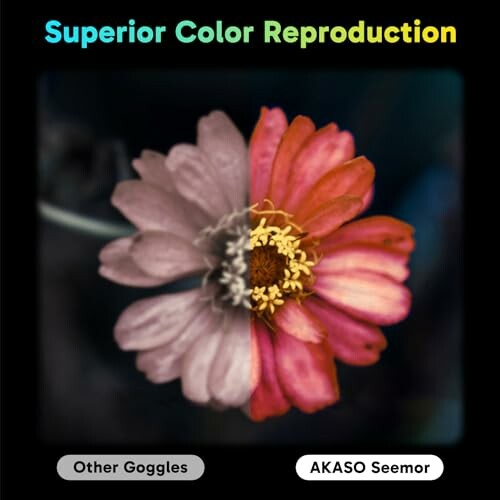 Flower with half in color and half in grayscale, demonstrating color reproduction.