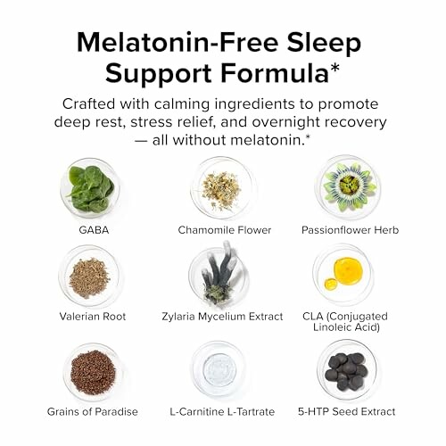 List of ingredients in melatonin-free sleep support formula.