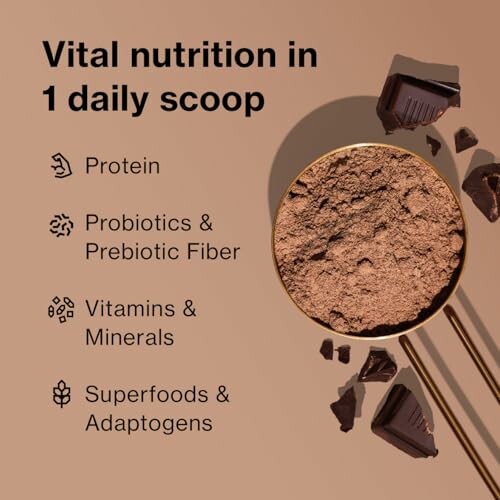 Powder with nutrition benefits: protein, probiotics, vitamins, superfoods.