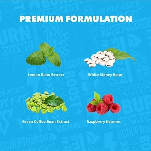 Image showing lemon balm extract, white kidney bean, green coffee bean extract, raspberry ketones.
