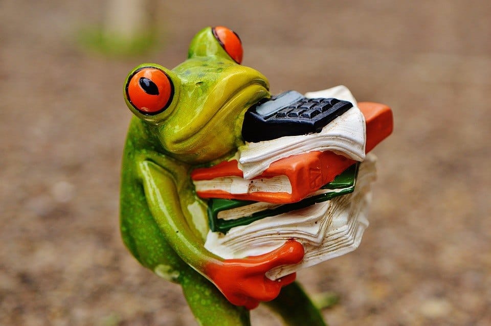bookkeeping frog